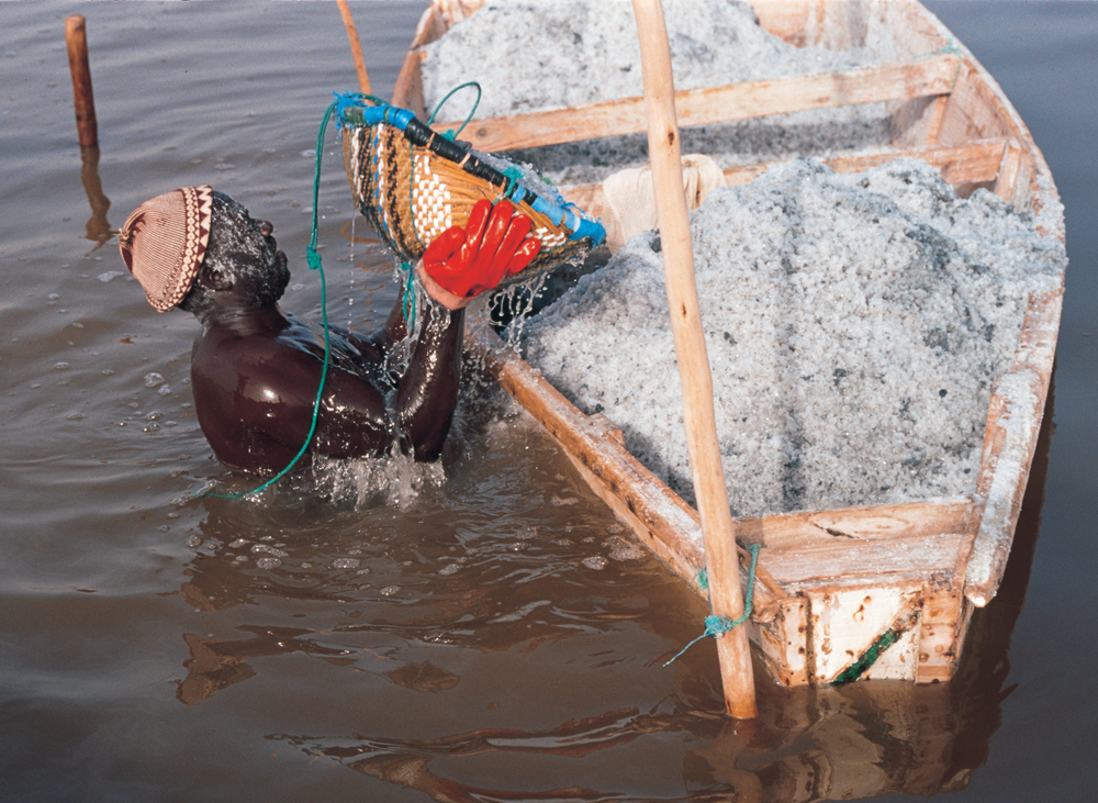 ラック・ローズと呼ばれるレトバ塩湖