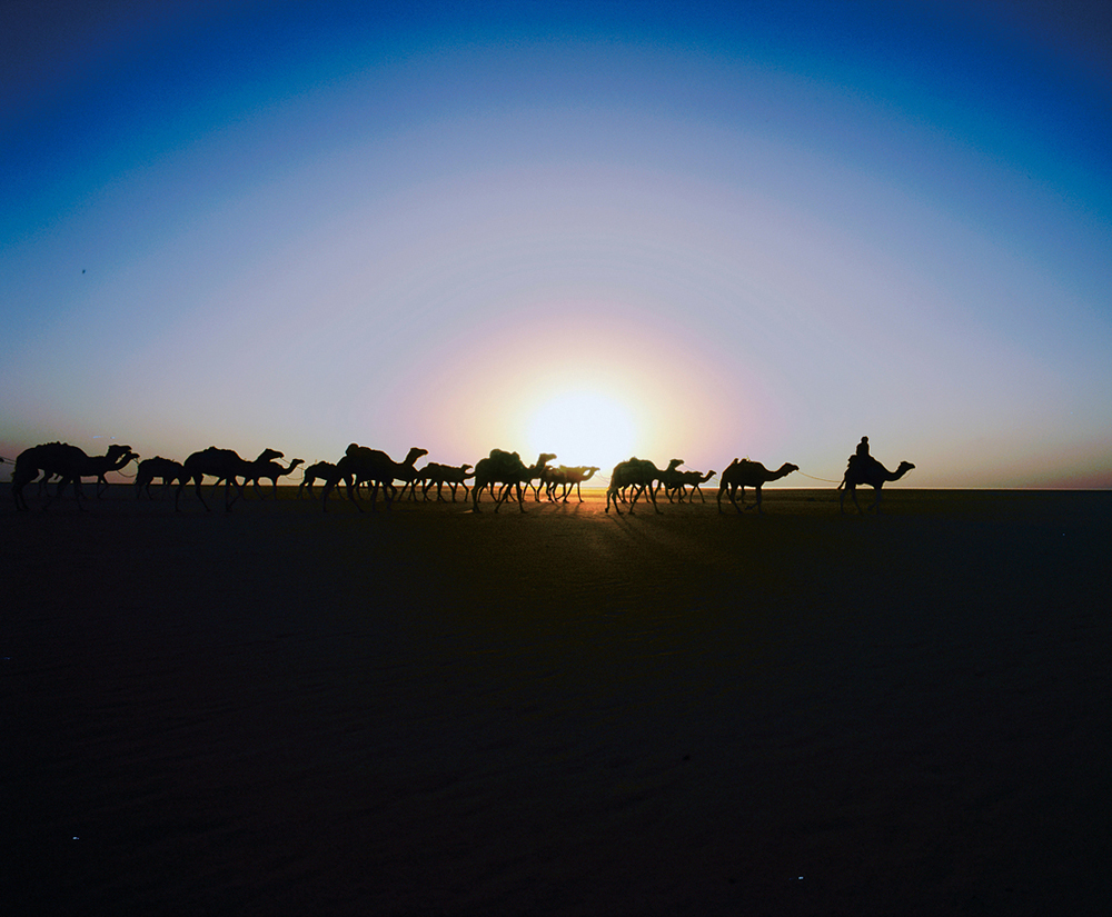 タウデニ 出発したキャラバンに朝日が昇る