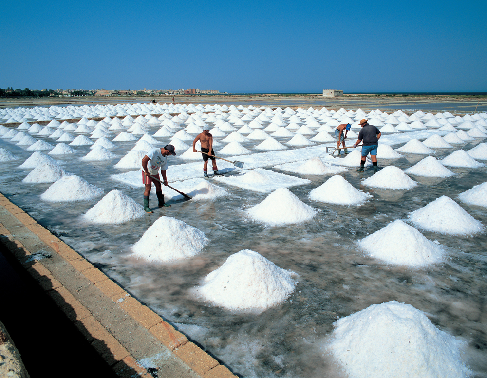 マルサーラ塩田の収穫作業