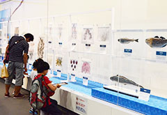 第47回夏休み塩の学習室 さぐってみよう!海のめぐみ 2026(仮称)